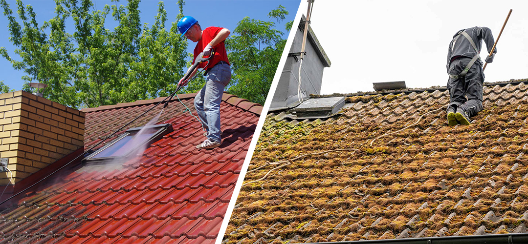 moss removal & roof cleaning